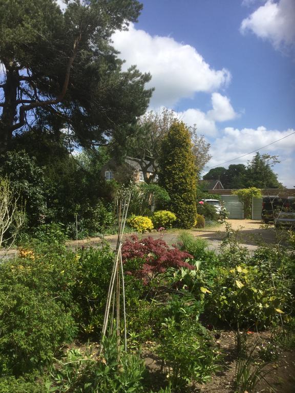 Beech View Cottage Downham Market Luaran gambar